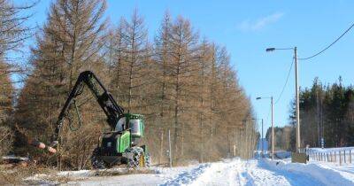 Финляндия начала сооружение забора на границе с РФ, — Yle