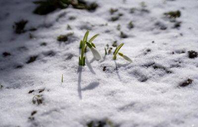 Прогноз погоды в Твери: первый день весны не будет теплым
