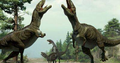 Зачем динозаврам когти: новое исследование проливает свет на древних хищников - focus.ua - Украина - Пекин