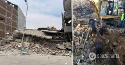 Землетрясение в Турции – на 20-й день после землетрясения из-под завалов вытащили живого коня – видео