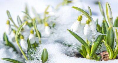 Весна начнется с тепла, а кое-где с мокрого снега: прогноз погоды на 1 марта