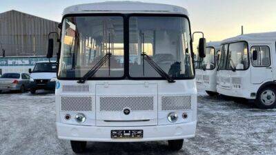 Дилеры ПАЗа приступили к реализации упрощённых автобусов двух моделей