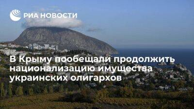 Константинов: в Крыму продолжат национализацию имущества украинских олигархов