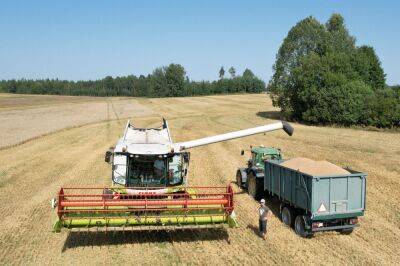 В восточной части ЕС жалуются на дешевое зерно из Украины