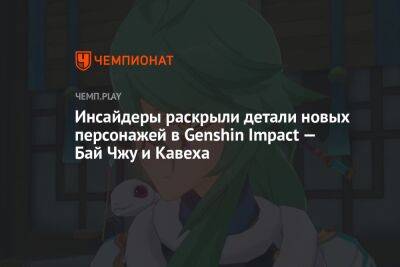 Инсайдеры раскрыли детали новых персонажей в Genshin Impact — Бай Чжу и Кавеха