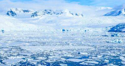 Открытие "королевы холода". Маори прибыли в Антарктиду не менее за 1000 лет до европейцев
