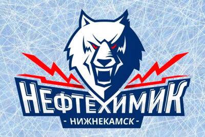 Как "Витязь" одолел "Нефтехимик" в видеообзоре матча КХЛ