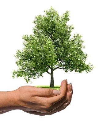 Округ Веттерау платит гражданам за посадку деревьев