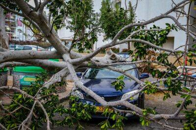 Шквальный ветер валит деревья в израильских городах. Ранена 13-летняя девочка