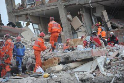 Более 500 погибших в Турции и Сирии в самом сильном за столетие землетрясении