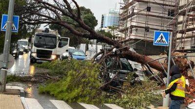 Буря "Барбара" наносит удар: падают деревья, летят бойлеры, страдают прохожие