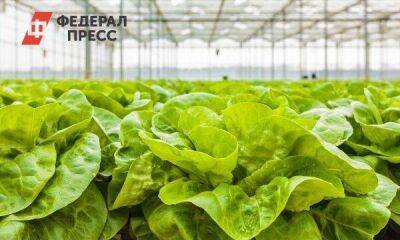 Губернатор Липецкой области Артамонов: «Производство сельхозпродукции в регионе превысило среднероссийский показатель»