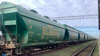 Арестованы 170 вагонов удобрений из рф и Беларуси, прибывших в Украину еще до вторжения