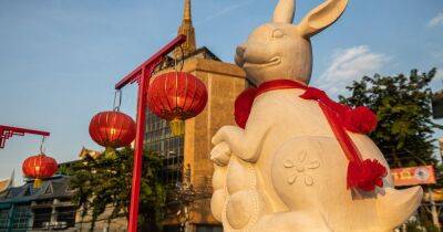 Время возможностей: каким будет год Кролика для знаков китайского календаря