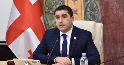 "Приведут к падению экономики": в парламенте Грузии возмущены призывам ввести санкции против РФ