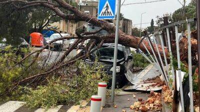Как получить компенсацию за ущерб от бури или землетрясения в Израиле