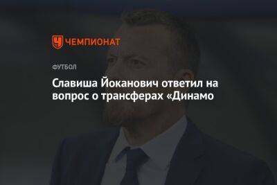 Славиша Йоканович ответил на вопрос о трансферах «Динамо