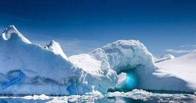 Поющий лед и тюлень в космосе. Ученые записали "инопланетные песни" полюсов Земли - focus.ua - Украина - Германия - Арктика