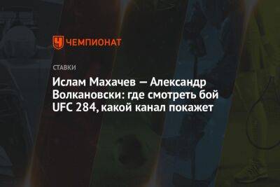 Ислам Махачев — Александр Волкановски: где смотреть бой UFC 284, какой канал покажет