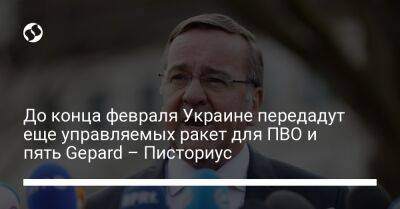 До конца февраля Украине передадут еще управляемых ракет для ПВО и пять Gepard – Писториус