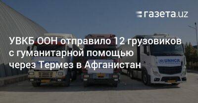 УВКБ ООН отправило 12 грузовиков с гуманитарной помощью через Термез в Афганистан