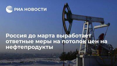 Новак: Россия до марта определится с ответными мерами на потолок цен на нефтепродукты