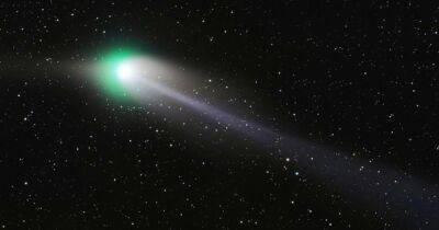 На этой неделе у человечества может быть последний шанс увидеть редкую "зеленую" комету: почему (фото)
