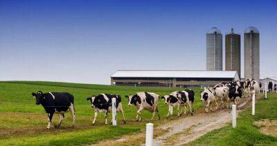 В Гродненской области в 2023 году начнут строить 15 молочно-товарных комплексов