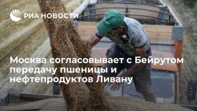 Посол Рудаков: Москва согласовывает с Бейрутом передачу пшеницы и нефтепродуктов Ливану
