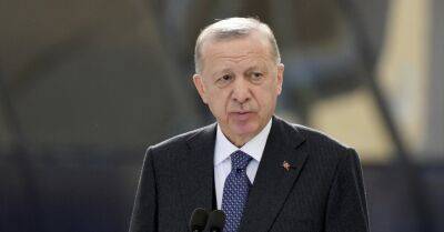 Землетрясение в Турции и Сирии: Эрдоган признает ошибки властей