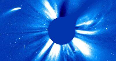 Хвост впереди и сзади. Аппарат NASA увидел необычную комету, которая облетела Солнце (видео)