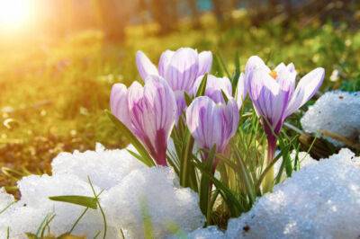 Поздравления с первым днем весны - картинки, открытки, стихи и смс на 1 марта - apostrophe.ua - Украина