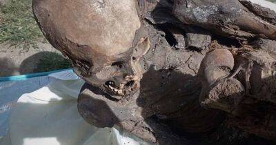 Перу - Распивал алкоголь с "подругой". Мужчину в Перу поймали с 800-летней мумией в охлаждающей сумке - focus.ua - Украина - Боливия