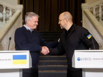 С 1 марта в Киеве открывается офис Организации экономического сотрудничества и развития – Кабмин