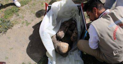 "Хуанита спит со мной": в сумке доставщика еды обнаружили 800-летнюю мумию