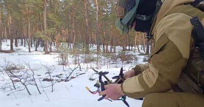 В Минобороны РФ заявили о "боевом применении" дрона "Бумеранг": что известно (видео)