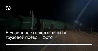 В Борисполе сошел с рельсов грузовой поезд – фото