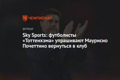 Sky Sports: футболисты «Тоттенхэма» упрашивают Маурисио Почеттино вернуться в клуб