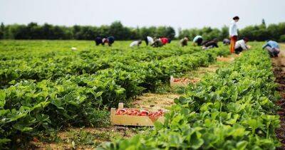 Страны Центральной Азии обсудили продовольственную безопасность в регионе