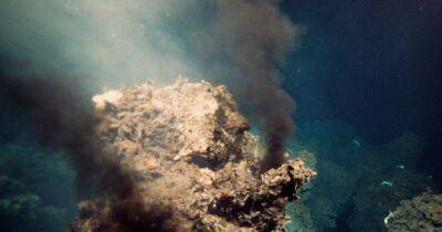 Спрятались на дне океана. В шлейфах глубоководных жерл найдена загадочная форма древней жизни