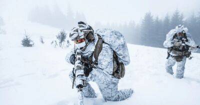 Исследователи оборонных проектов ищут лекарство, чтобы сделать солдат морозостойкими