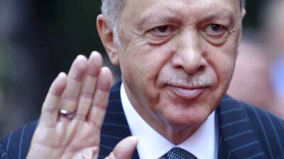 Президент Турции перенёс выборы на месяц раньше