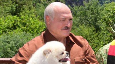 После Китая Лукашенко едет в Иран