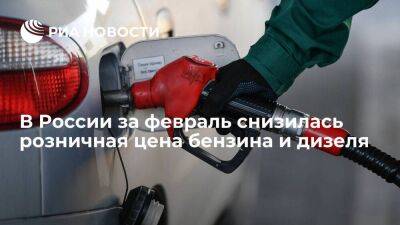 Росстат: цена бензина в феврале снизилась на 0,1 процента, дизеля — на 0,7 процента
