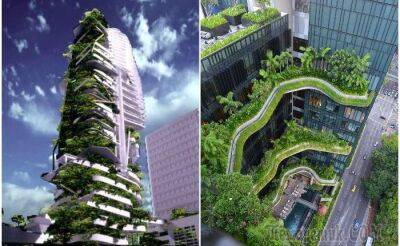 7 вертикальных садов по всему миру, которые могут превратить города в джунгли