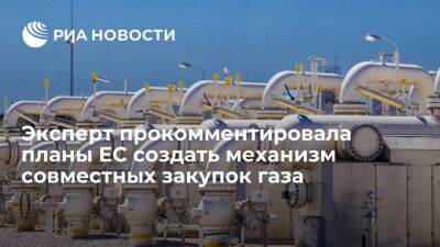 Эксперт Белова: бюрократия может убить эффективность механизма совместных закупок газа ЕС