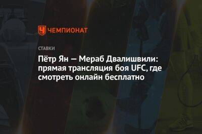 Пётр Ян — Мераб Двалишвили: прямая трансляция боя UFC, где смотреть онлайн бесплатно