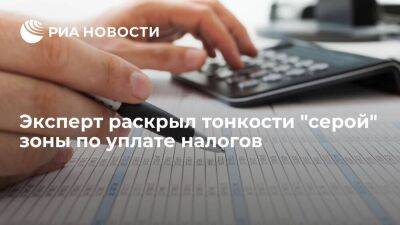 Ольга Дайнеко - Дайнеко: быть в серой зоне по уплате налогов сейчас все сложнее и невыгоднее - smartmoney.one - Россия