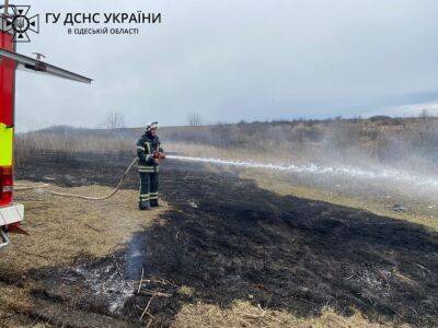 В Одесской области женщина погибла, когда жгла траву | Новости Одессы