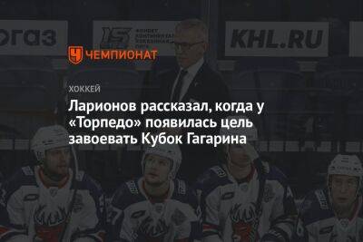 Ларионов рассказал, когда у «Торпедо» появилась цель завоевать Кубок Гагарина